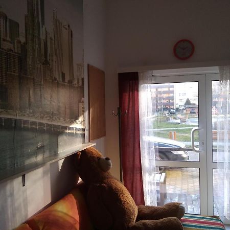Apartament Przy Parku Noclegi Płock Buitenkant foto